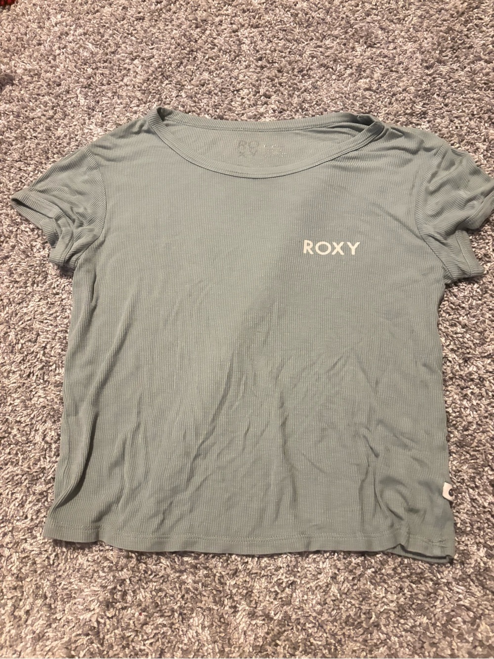 Roxy Short Sleeve Tee in Sage Green with Chest Logo